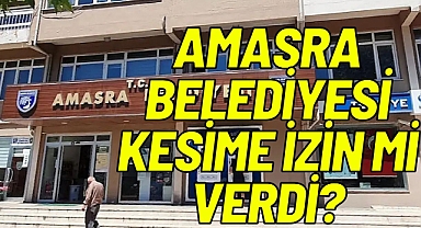 AMASRA BELEDİYESİ KESİME İZİN Mİ VERDİ?
