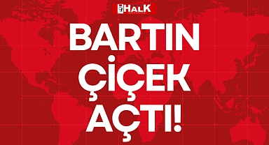 BARTIN ÇİÇEK AÇTI!