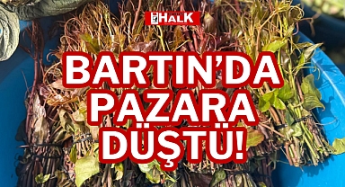 BARTIN'DA PAZARA DÜŞTÜ!