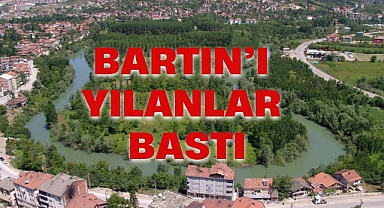 BARTIN'I YILANLAR BASTI