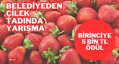 Belediyeden Çilek Tadında Yarışma