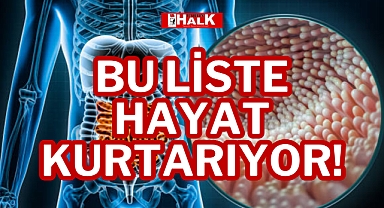 BU LİSTE HAYAT KURTARIYOR!