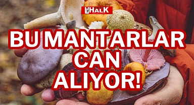 BU MANTARLAR CAN ALIYOR!