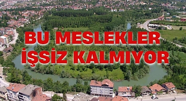BU MESLEKLER İŞSİZ KALMIYOR