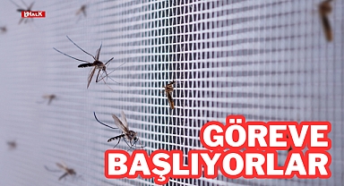 Göreve Başlıyorlar