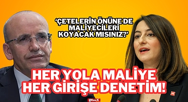 Her Yola Maliye, Her Girişe Denetim!