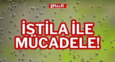 İSTİLA İLE MÜCADELE!