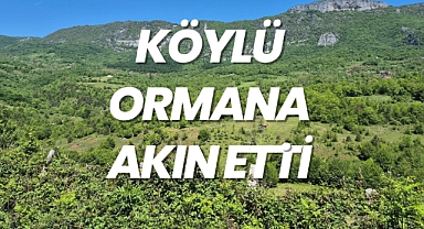 KÖYLÜ ORMANA AKIN ETTİ