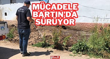 Mücadele Bartın'da Sürüyor