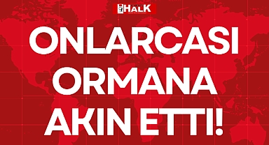 ONLARCASI ORMANA AKIN ETTİ!