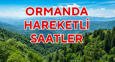ORMANDA HAREKETLİ SAATLER