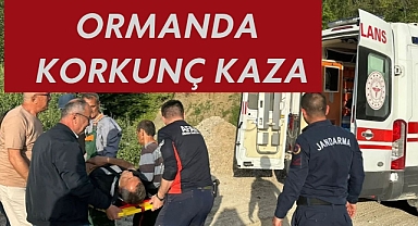 ORMANDA KORKUNÇ KAZA