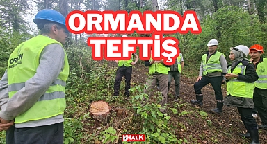Ormanda Teftiş