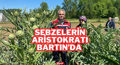 Sebzelerin Aristokratı Bartın'da
