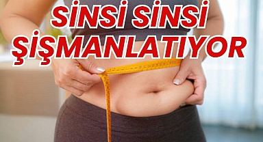 SİNSİ SİNSİ ŞİŞMANLATIYOR