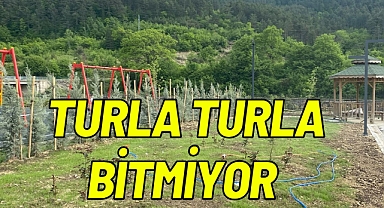 TURLA TURLA BİTMİYOR