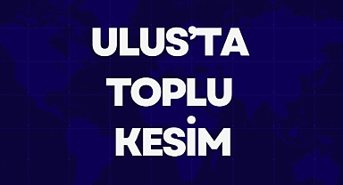 ULUS’TA TOPLU KESİM