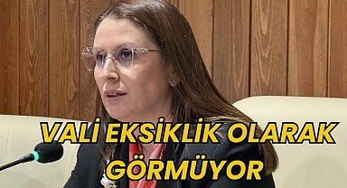 VALİ EKSİKLİK OLARAK GÖRMÜYOR