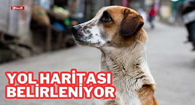 Yol Haritası Belirleniyor