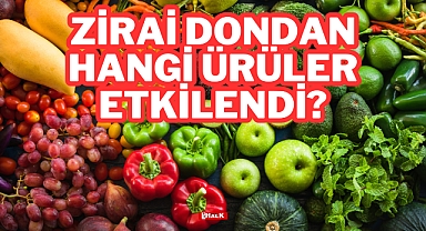 Zirai Don Hangi Ürünleri Etkiledi?