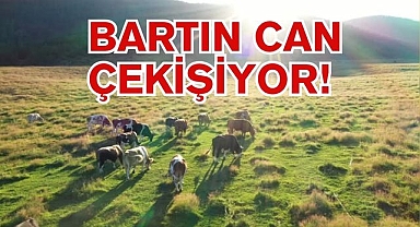 BARTIN CAN ÇEKİŞİYOR!