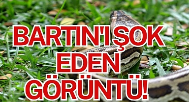 BARTIN'I ŞOK EDEN GÖRÜNTÜ!