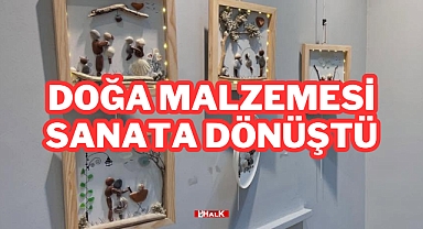 Doğa Malzemesi Sanata Dönüştü