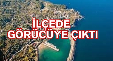 İLÇEDE GÖRÜCÜYE ÇIKTI