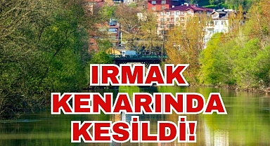 IRMAK KENARINDA KESİLDİ!