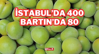 İstanbul'da 400 Bartın'da 80