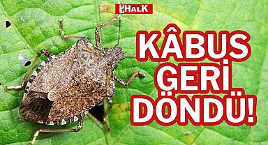 KÂBUS GERİ DÖNDÜ!