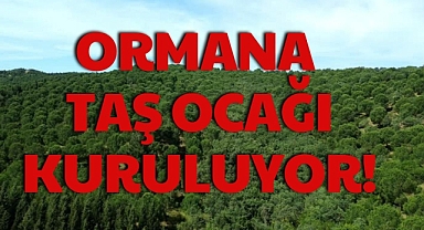 ORMANA TAŞ OCAĞI KURULUYOR!