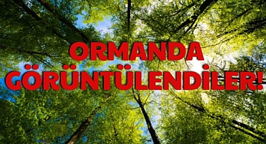 ORMANDA GÖRÜNTÜLENDİLER!