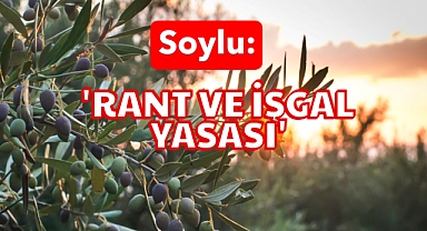 Soylu'dan Sert Tepki
