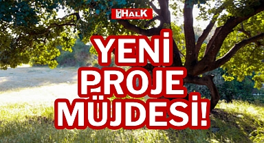 YENİ PROJE MÜJDESİ!