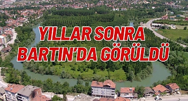 YILLAR SONRA BARTIN’DA GÖRÜLDÜ