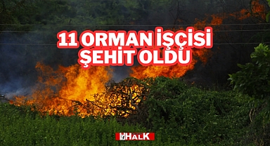 11 Orman İşçisi Şehit Oldu