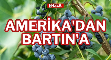 AMERİKA'DAN BARTIN'A