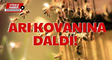 ARI KOVANINA DALDI!