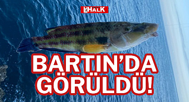 BARTIN'DA GÖRÜLDÜ!