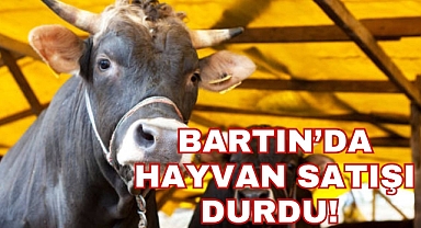 BARTIN’DA HAYVAN SATIŞI DURDU!