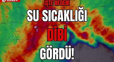 BARTIN DİBİ GÖRDÜ!