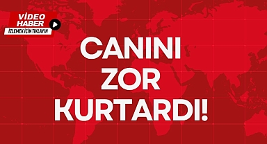 CANINI ZOR KURTARDI!