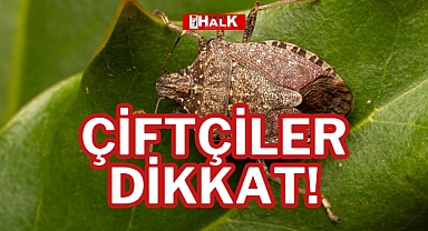 ÇİFTÇİLER DİKKAT!