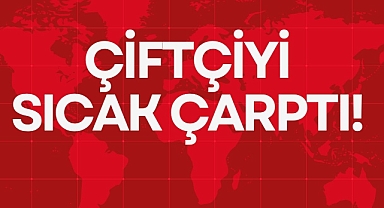 ÇİFTÇİYİ SICAK ÇARPTI!