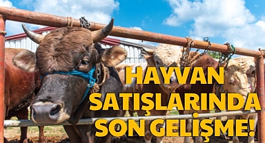 HAYVAN SATIŞLARINDA SON GELİŞME!