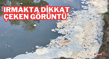 Irmakta Dikkat Çeken Görüntü