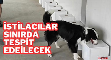 İstilacılar Sınırda Tespit Edilecek