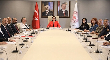 Kadına Yönelik Şiddetle Mücadelede Kurumsal Koordinasyon