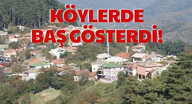 KÖYLERDE BAŞ GÖSTERDİ!